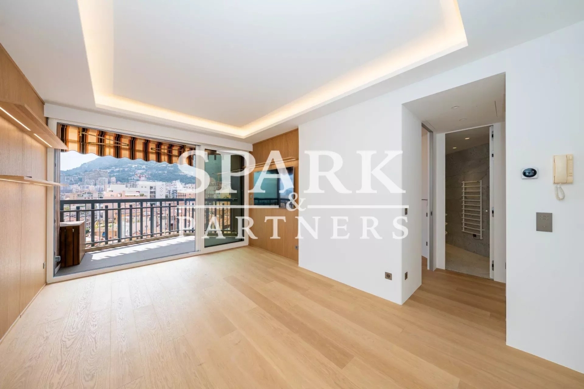 Appartement de luxe à vendre à Monaco, 3 300 000 €, Photo 2