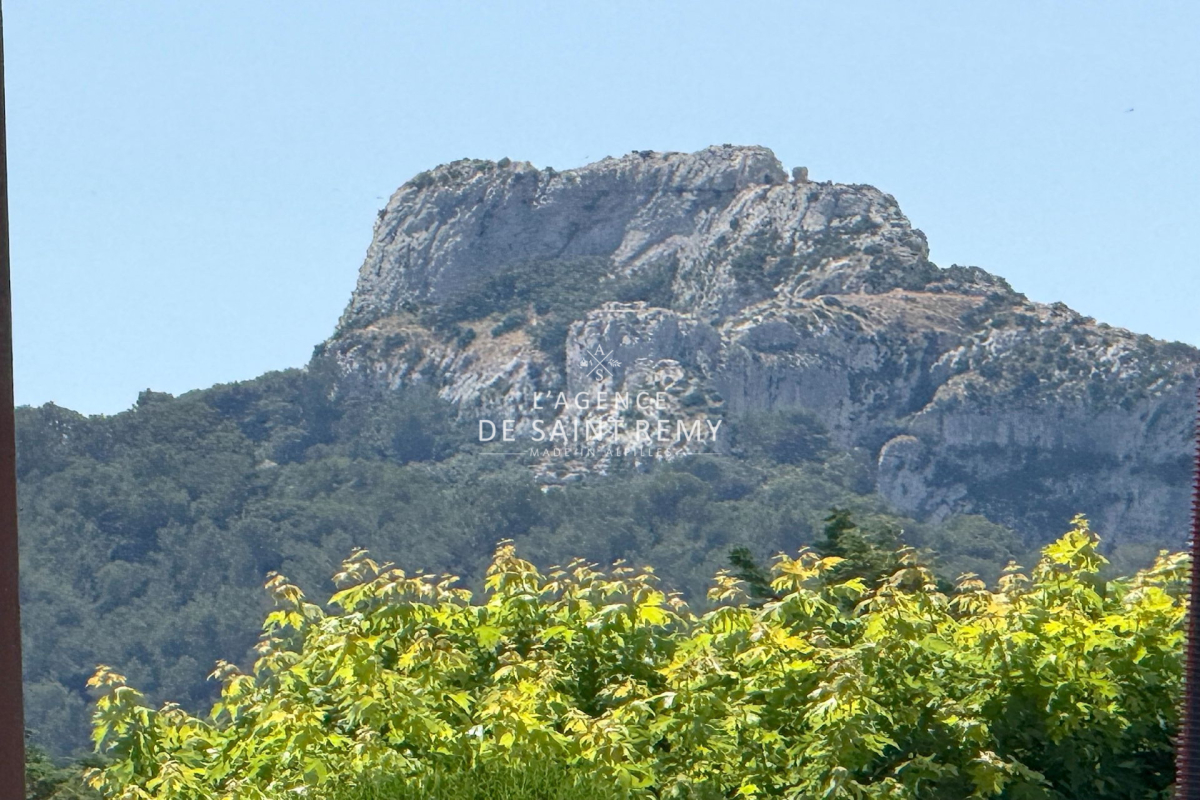 Maison de luxe à vendre à Saint-Rémy-de-Provence, 4 200 000 €, Photo 1