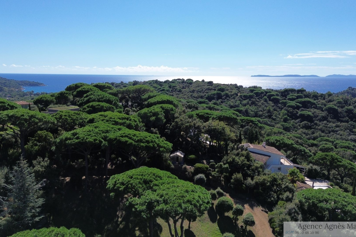 Maison de luxe à vendre à La Croix-Valmer, 3 640 000 €, Photo 2