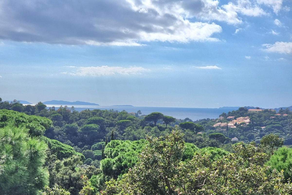 Maison de luxe à vendre à La Croix-Valmer, 3 640 000 €, Photo 3