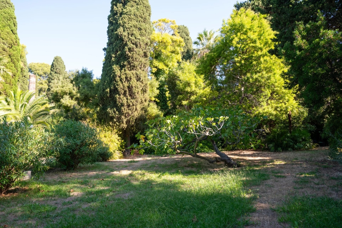 Luxury House for sale in Carqueiranne, 2 470 000 €, Photo 4