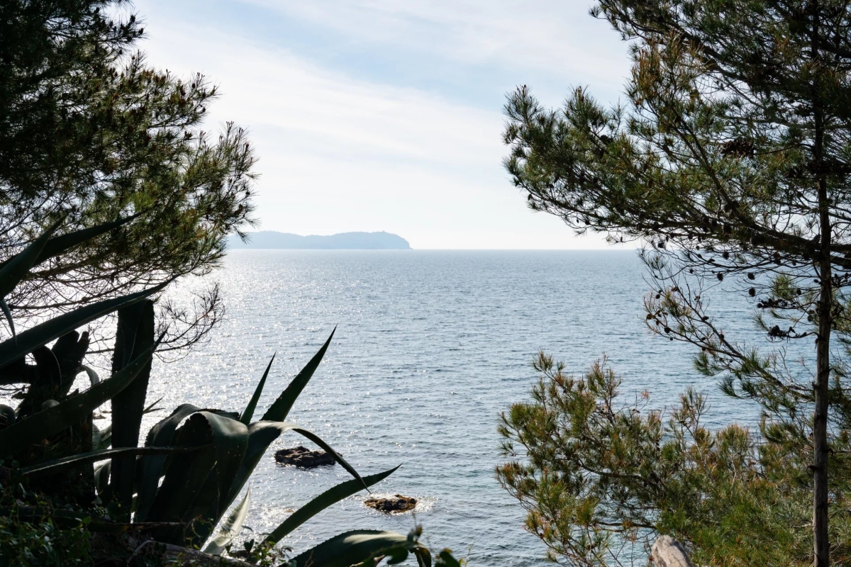 Luxury House for sale in Carqueiranne, 1 495 000 €, Photo 1