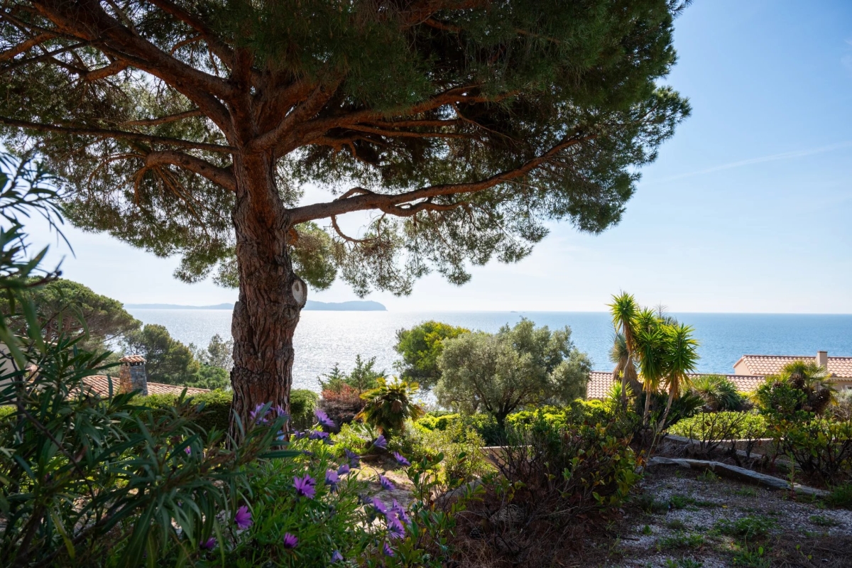 Luxury House for sale in Carqueiranne, 1 495 000 €, Photo 2