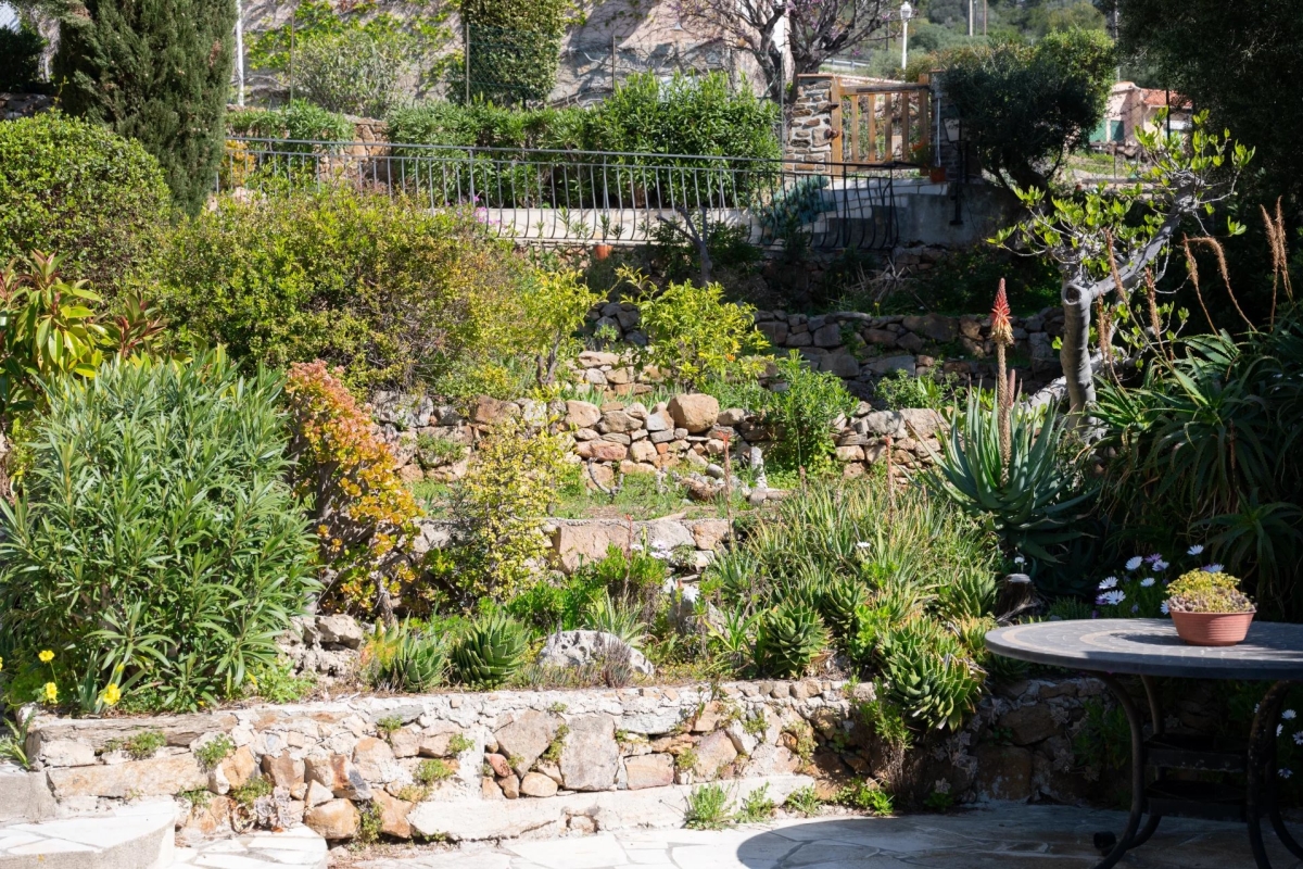 Luxury House for sale in Carqueiranne, 1 495 000 €, Photo 6