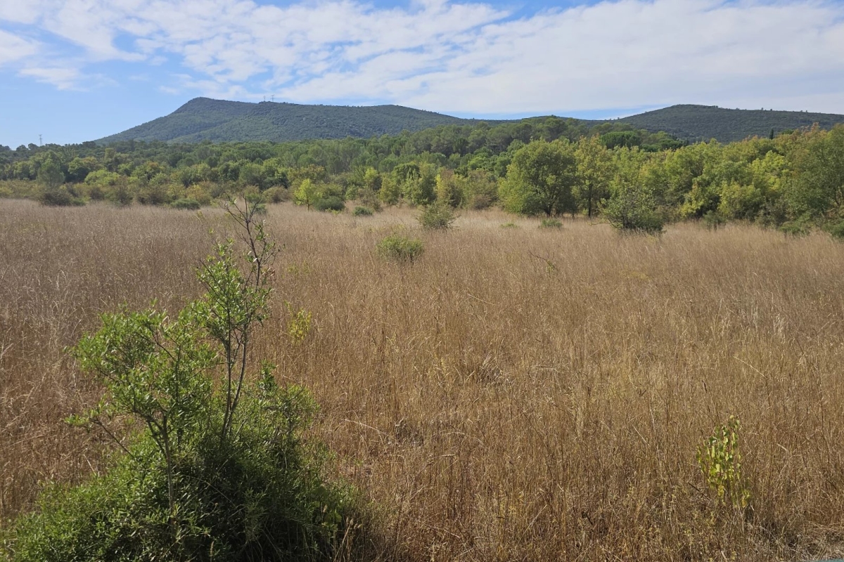 Maison de luxe à vendre à Rocbaron, 580 000 €, Photo 4