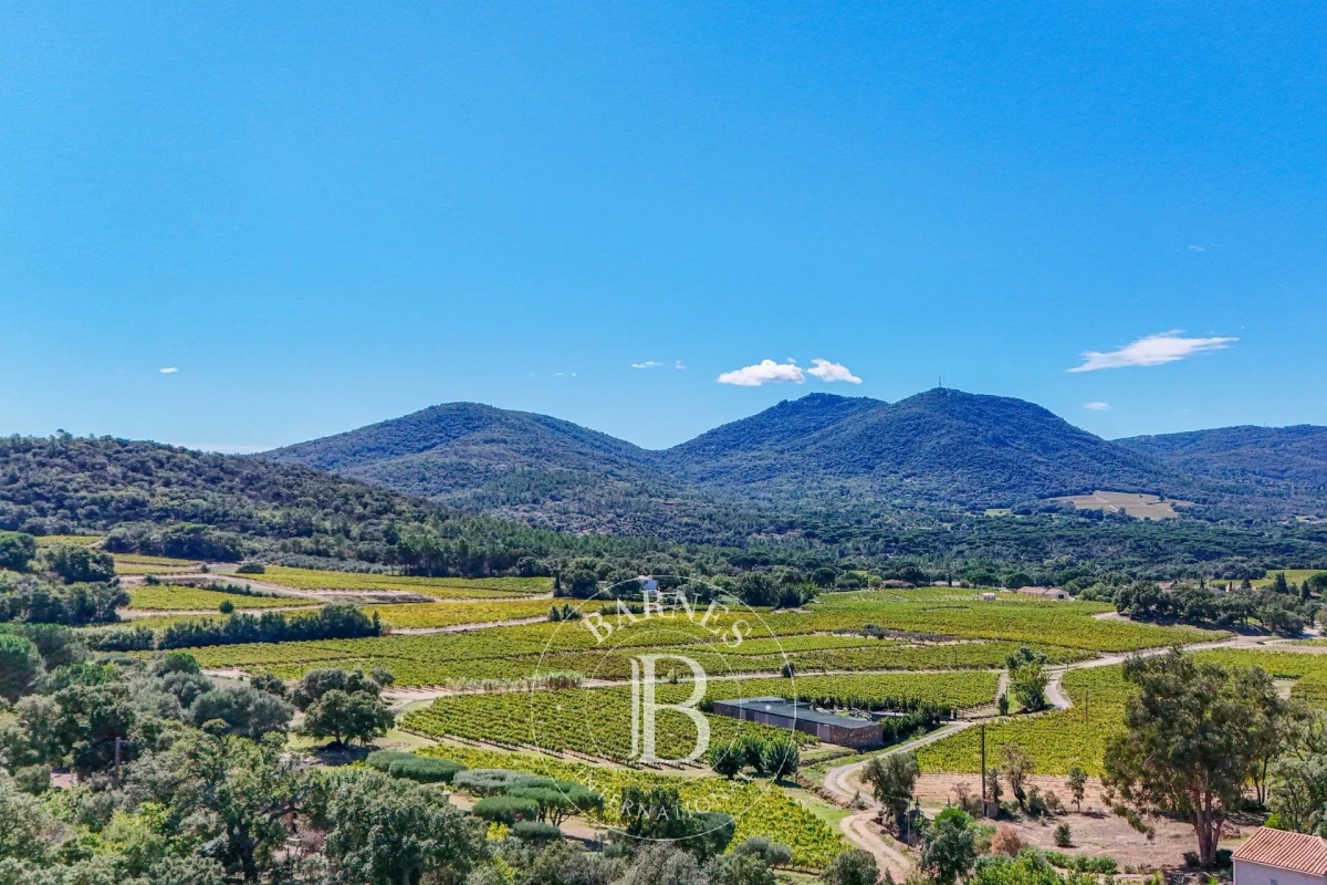 Luxury House for sale in Plan-de-La-Tour, 3 450 000 €, Photo 5