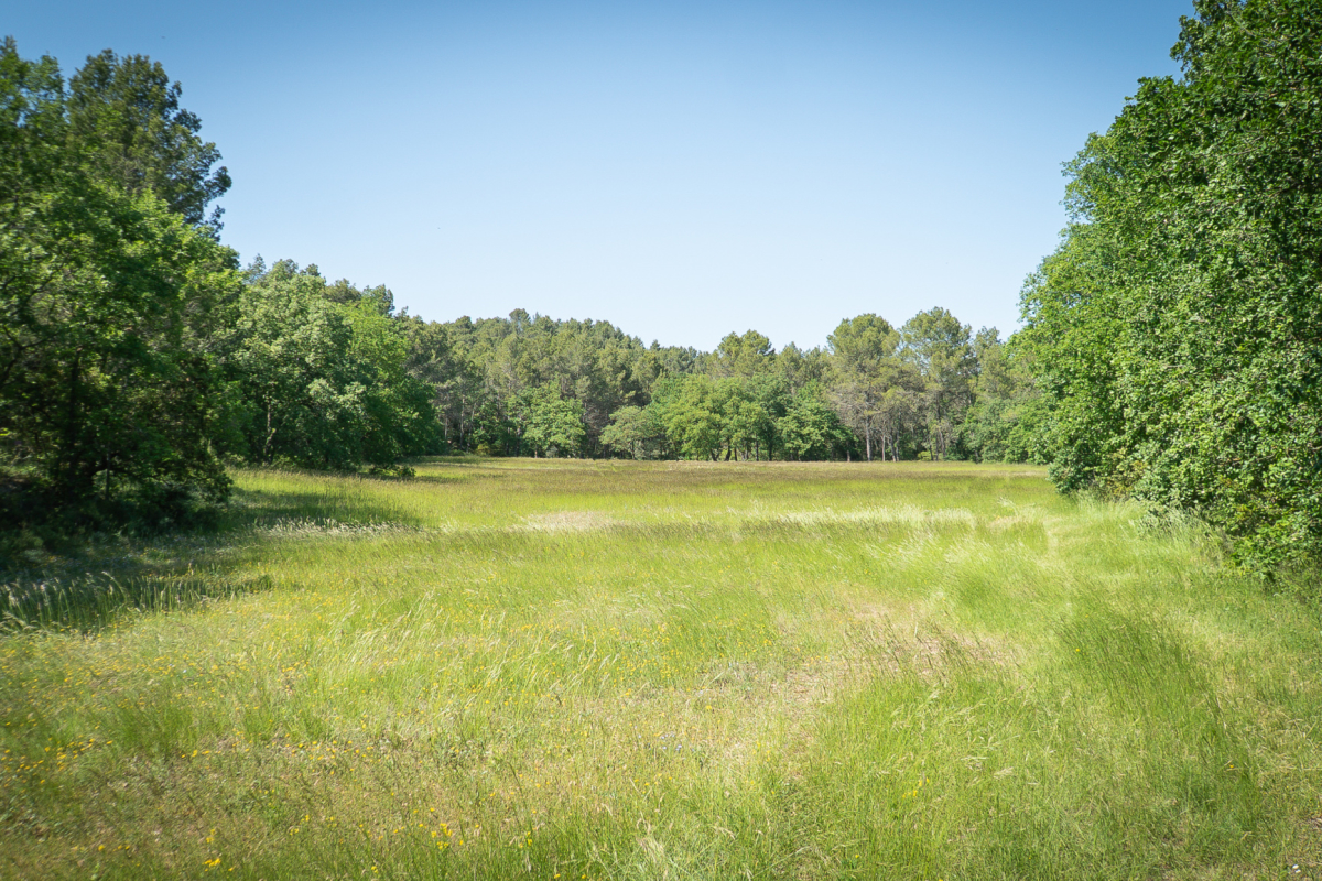 Luxury House for sale in L Isle-sur-La-Sorgue, 2 980 000 €, Photo 7