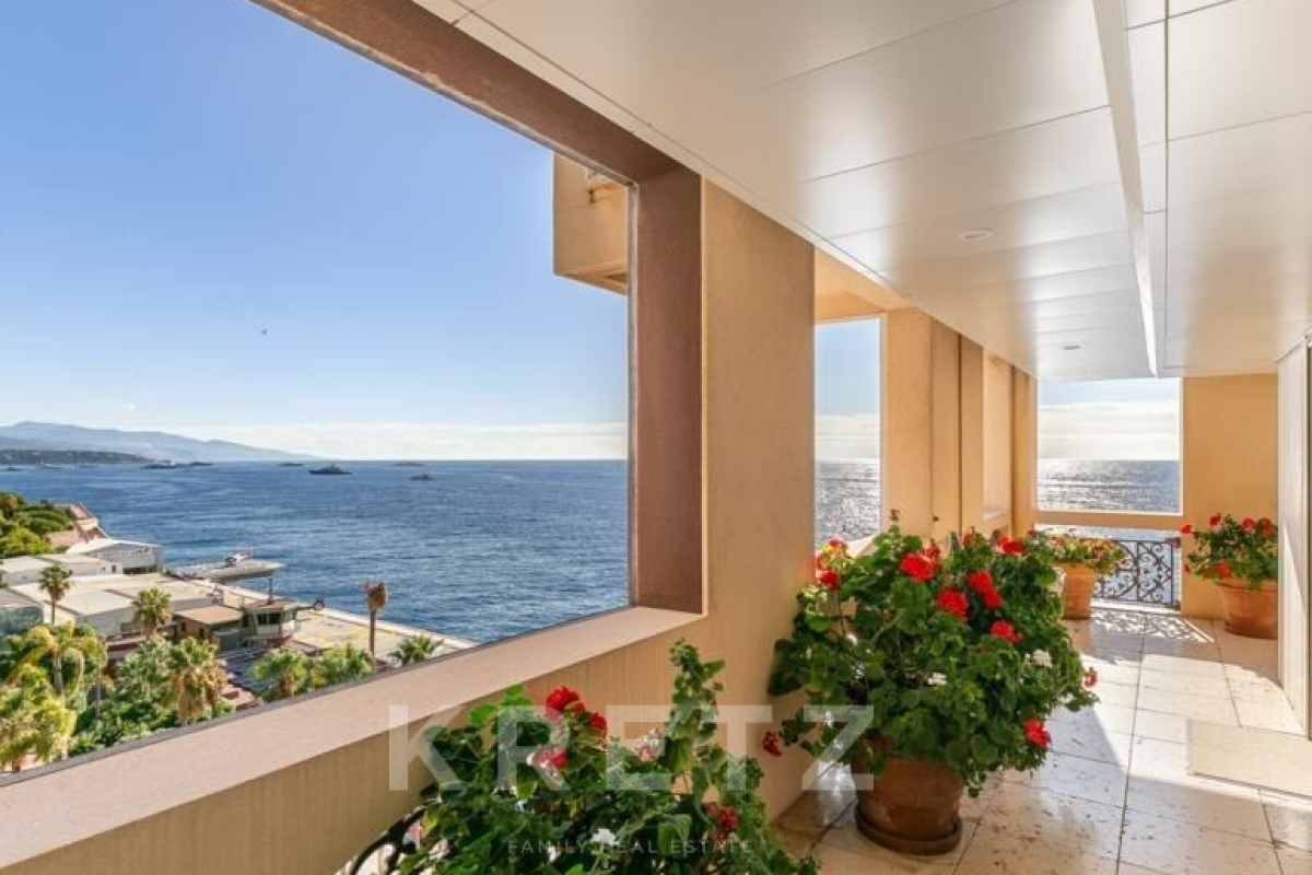 Appartement de luxe à vendre à Monaco, 33 800 000 €, Photo 3