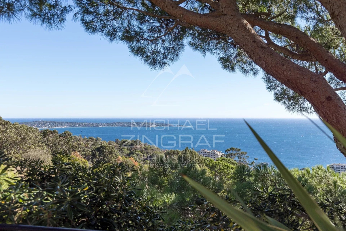 Maison de luxe à vendre à Cannes, 13 900 000 €, Photo 3