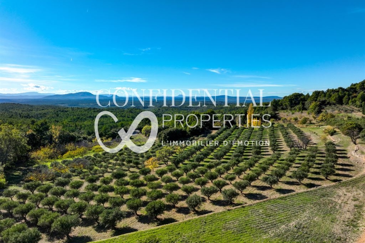 Maison de luxe à vendre à Aups, 1 800 000 €, Photo 2