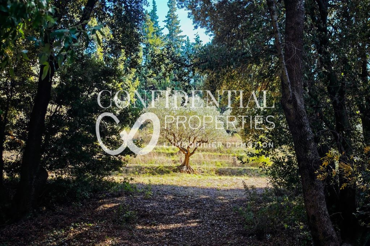 Maison de luxe à vendre à Aups, 1 800 000 €, Photo 5