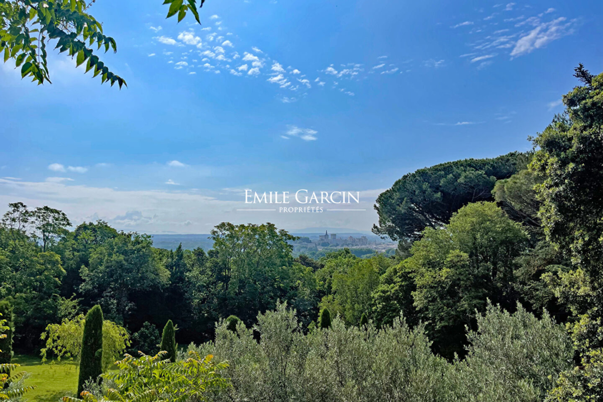 Maison de luxe à vendre à Villeneuve-Lès-Avignon, 1 820 000 €, Photo 7
