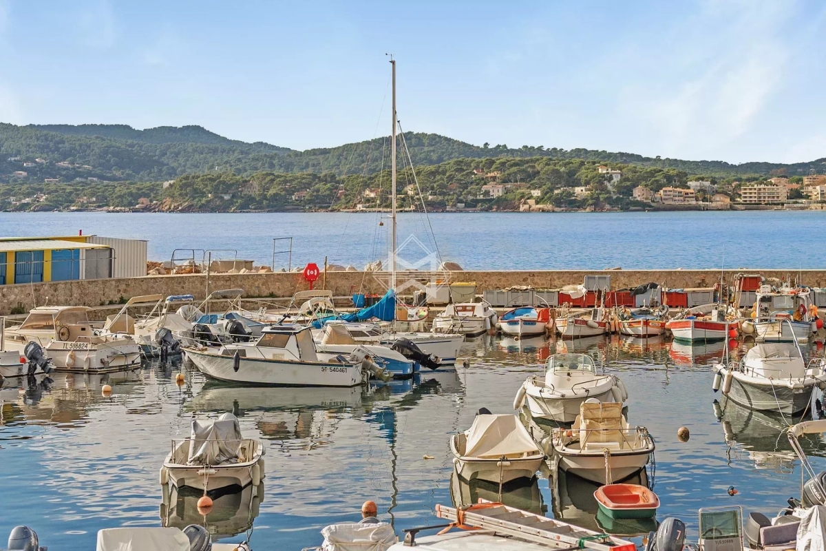 Maison de luxe à vendre à La Seyne-sur-Mer, 1 250 000 €, Photo 2