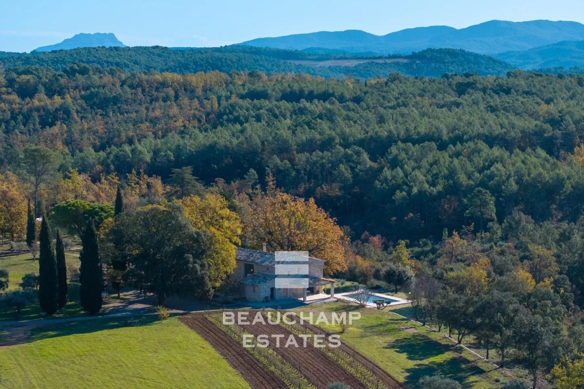 Maison de luxe à vendre à Lorgues, 3 900 000 €, Photo 1