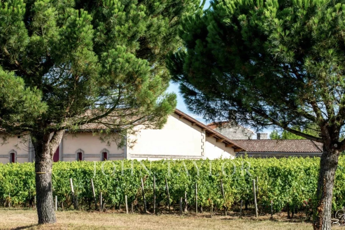 Luxury House for sale in Bordeaux, 1 800 000 €, Photo 2