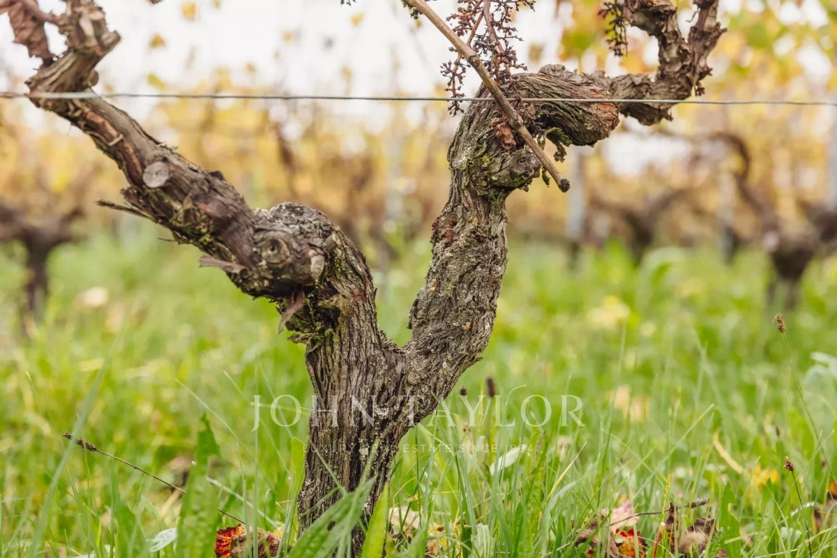 Luxury House for sale in Bordeaux, 1 800 000 €, Photo 3