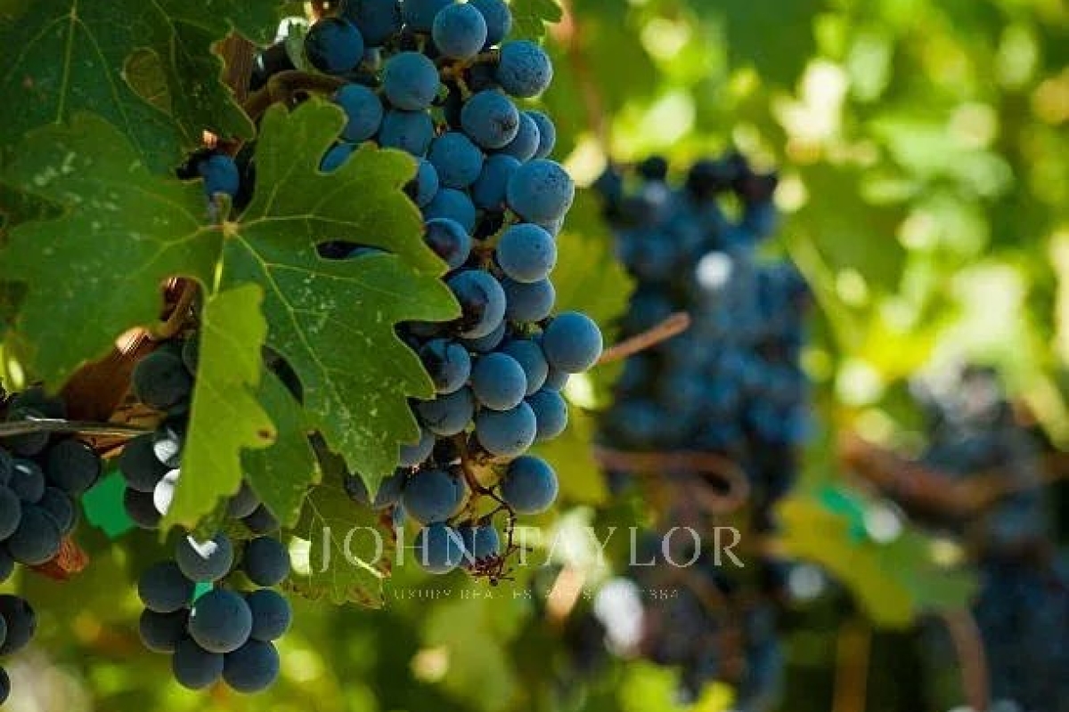 Luxury House for sale in Bordeaux, 1 800 000 €, Photo 4