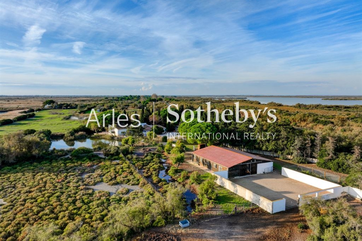 Luxury House for sale in Saintes-Maries-de-La-Mer, 1 800 000 €, Photo 4