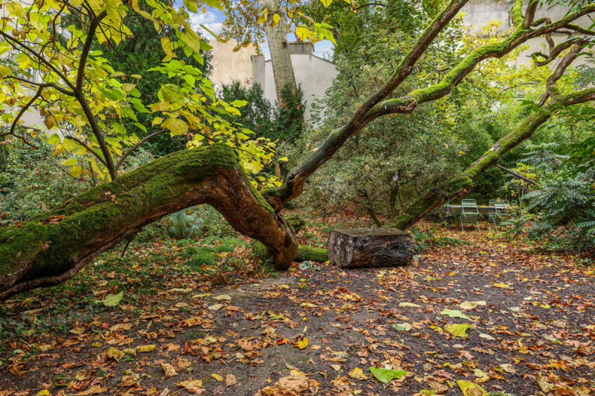 Appartement de luxe à vendre à Paris 6Ème, 1 195 000 €, Photo 2