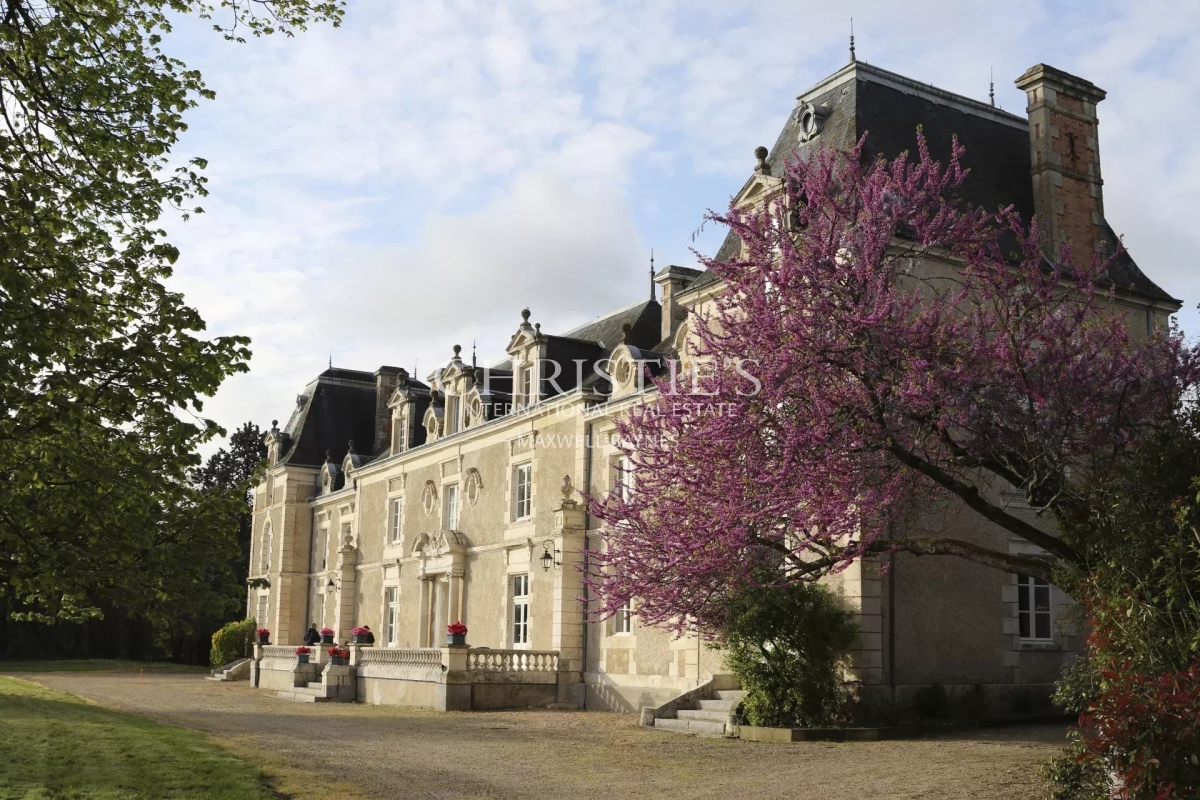 Maison de luxe à vendre à Dienné, 1 590 000 €, Photo 3