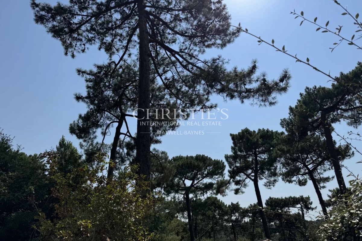 Maison de luxe à vendre à Pyla sur Mer, 992 500 €, Photo 4