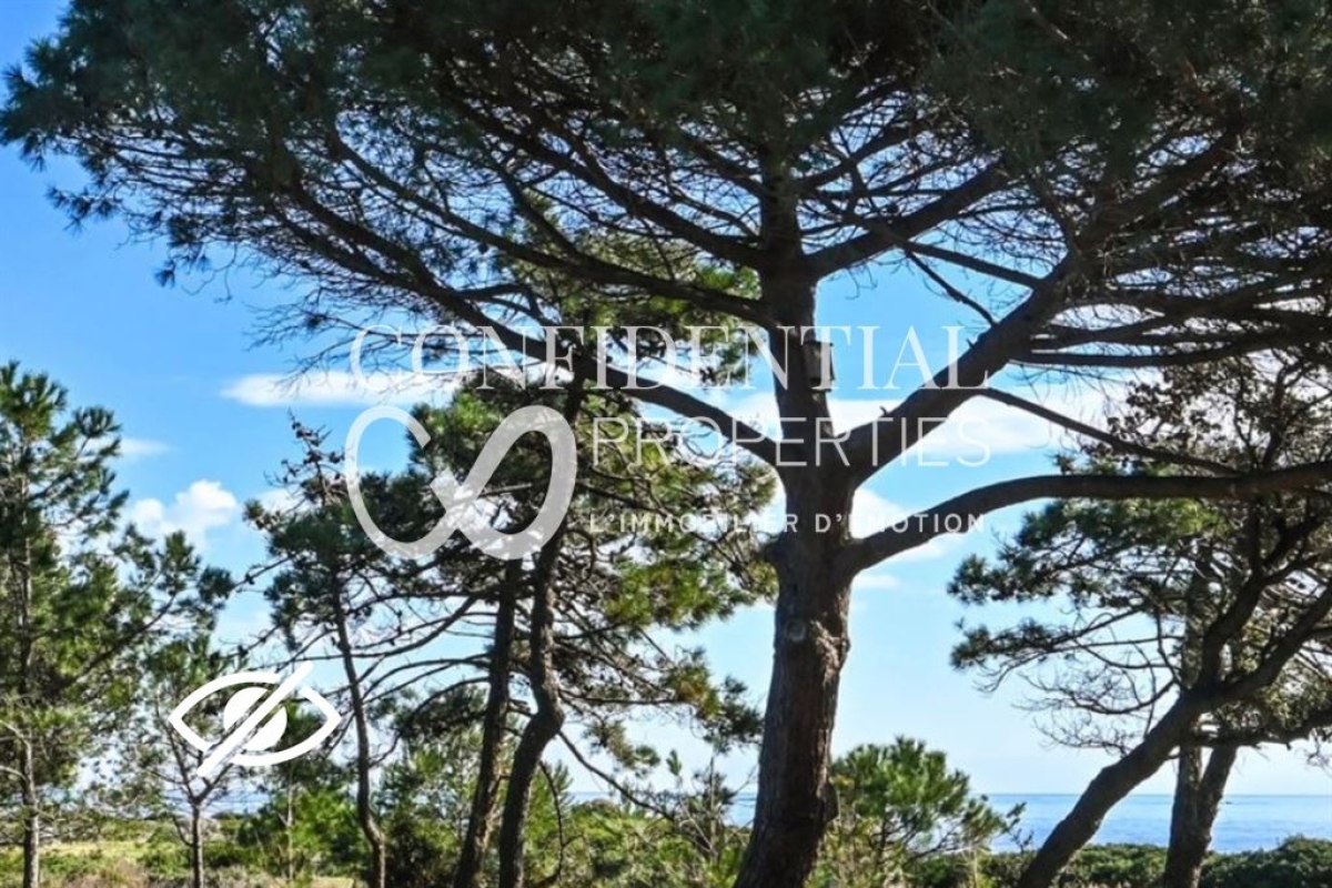 Luxury House for sale in Grimaud, 8 200 000 €, Photo 4