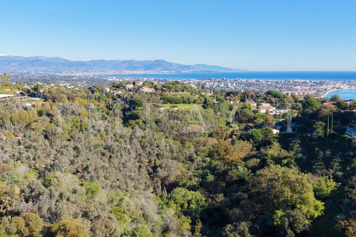 Maison de luxe à vendre à Cannes, 15 000 000 €, Photo 3