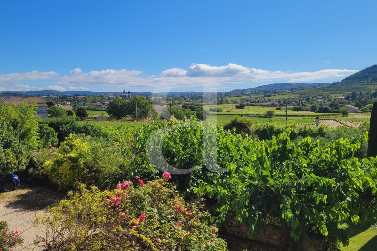 Maison de luxe à vendre à Villeneuve-de-Berg, 990 000 €, Photo 3