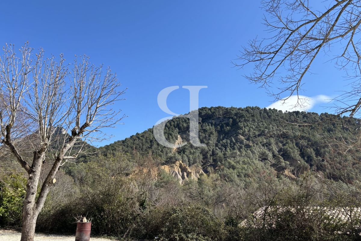Maison de luxe à vendre à Vaison-la-Romaine, 810 900 €, Photo 4