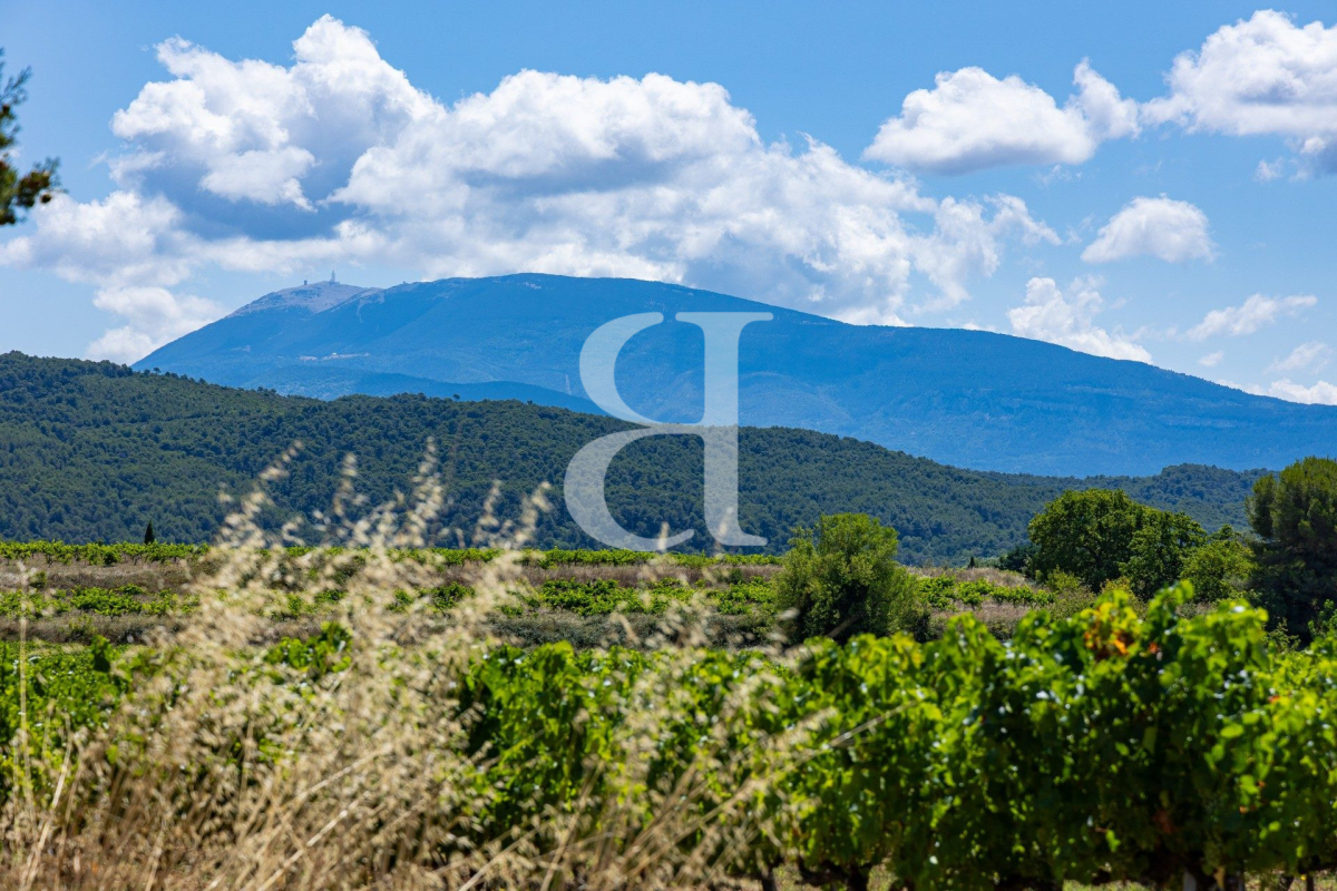 Maison de luxe à vendre à Vaison-la-Romaine, 2 490 000 €, Photo 5