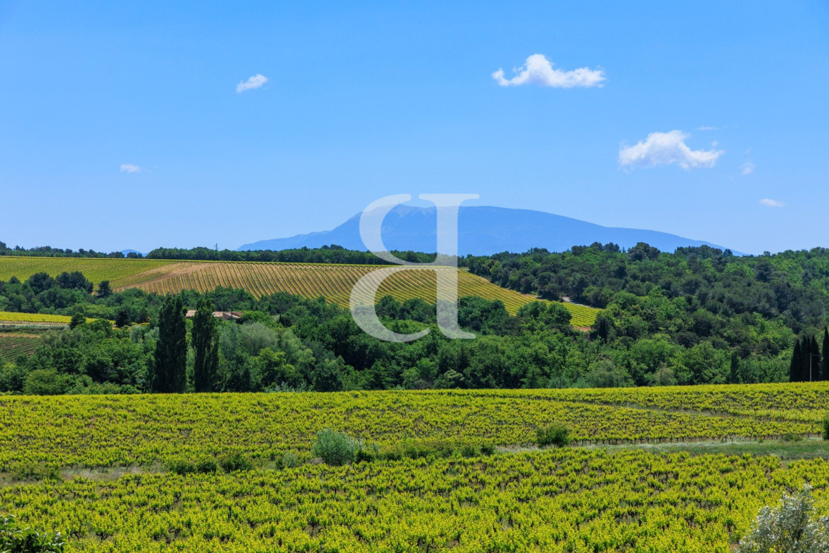 Maison de luxe à vendre à Vaison-la-Romaine, 1 810 000 €, Photo 6