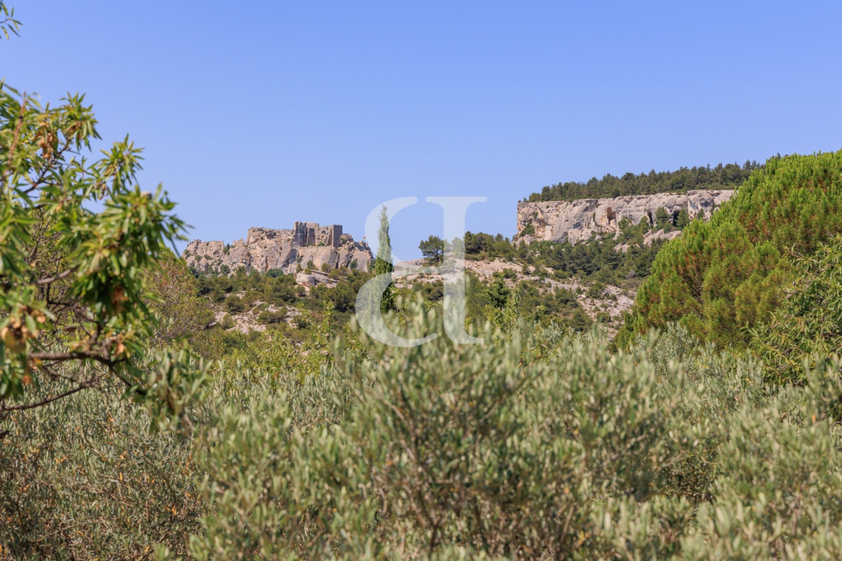 Luxury House for sale in Les Baux-de-Provence, 1 650 000 €, Photo 7