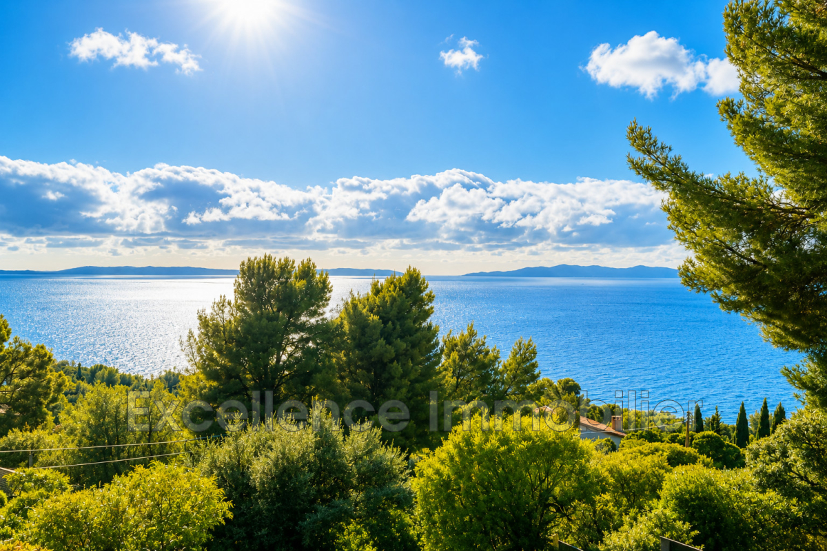 Maison de luxe à vendre à Le Lavandou, 2 950 000 €, Photo 1