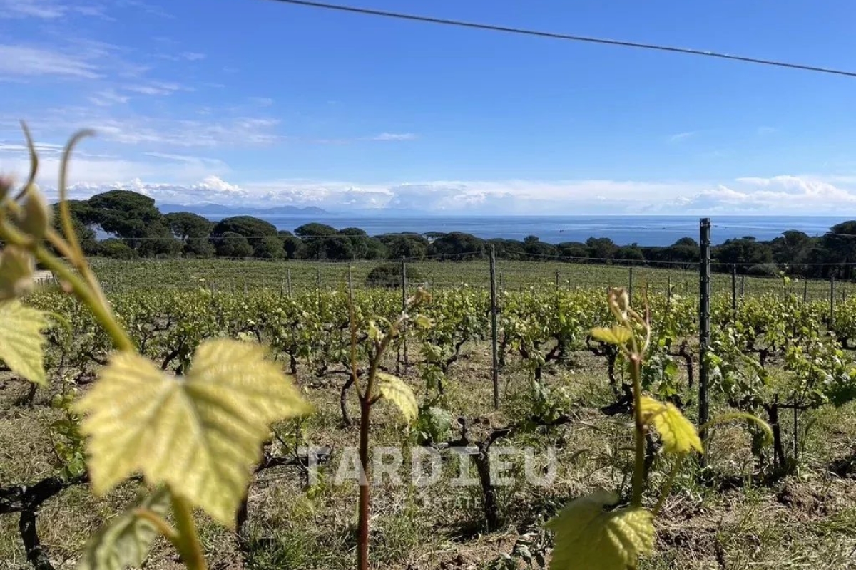 Maison de luxe à vendre à Gassin, 6 900 000 €, Photo 1