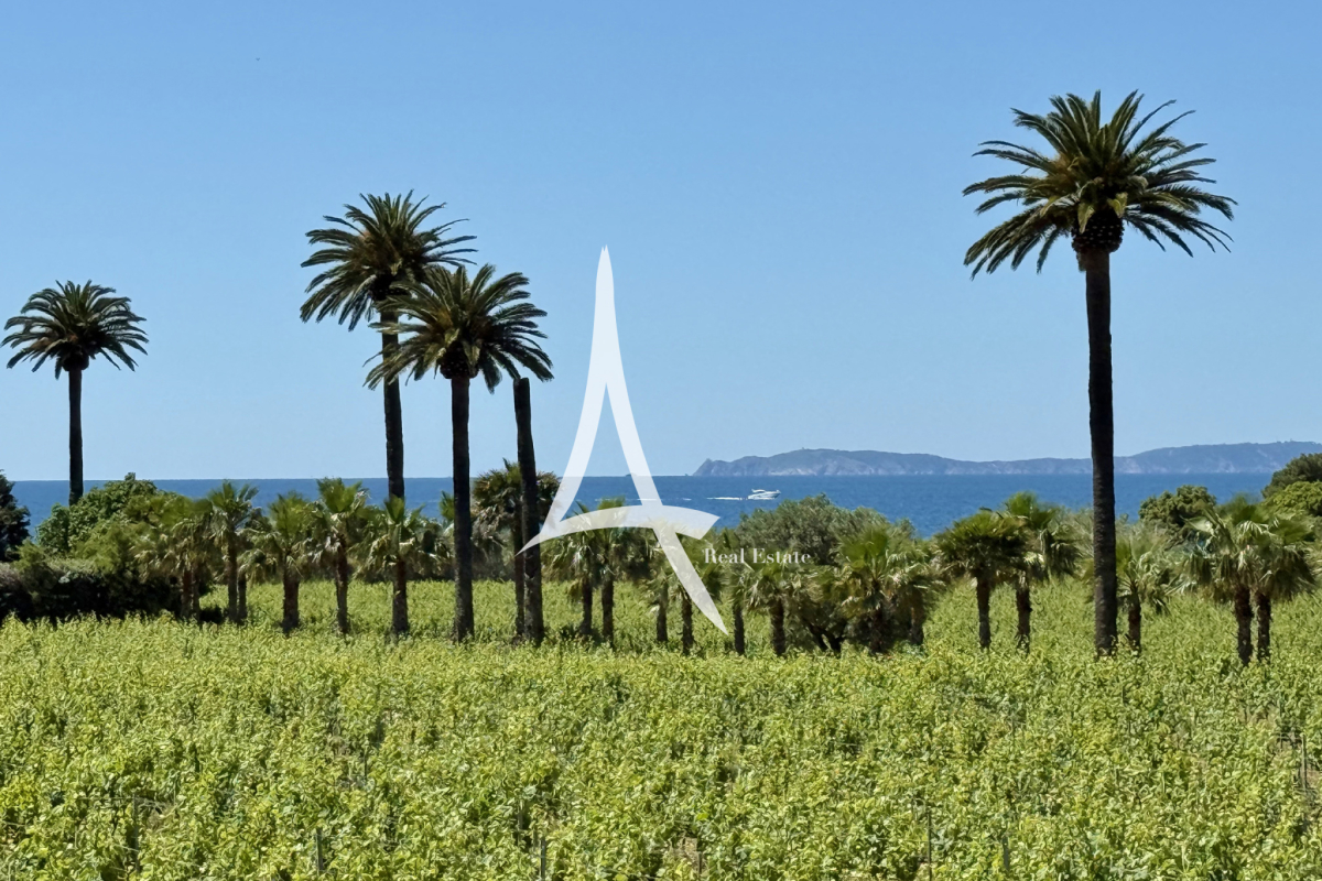 Maison de luxe à vendre à La Croix-Valmer, 3 570 000 €, Photo 6