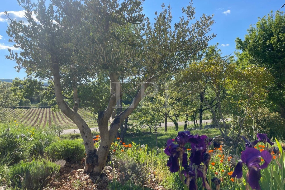 Maison de luxe à vendre à Simiane-la-Rotonde, 579 500 €, Photo 5