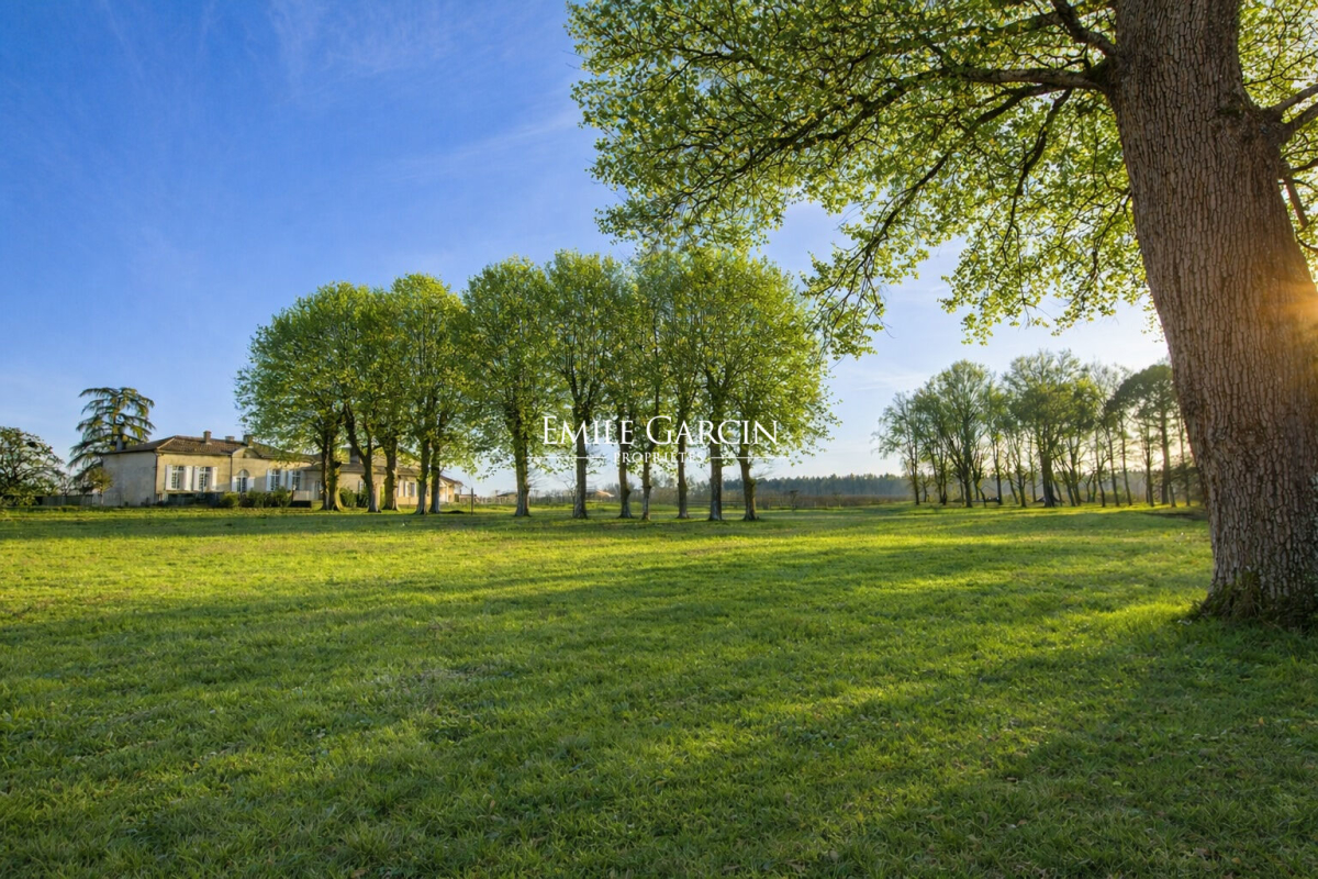 Maison de luxe à vendre à Martillac, 2 155 000 €, Photo 7