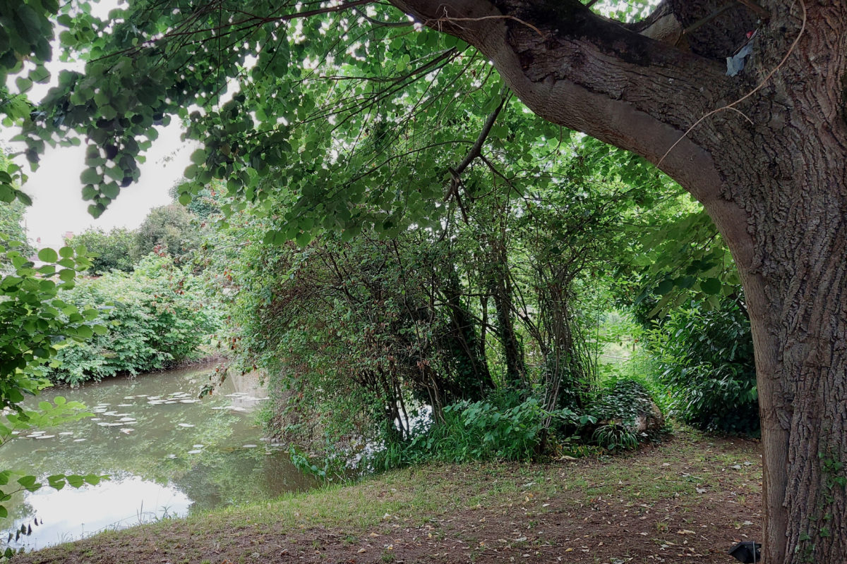 Maison de luxe à vendre à Saint-Amand-Montrond, 299 250 €, Photo 2