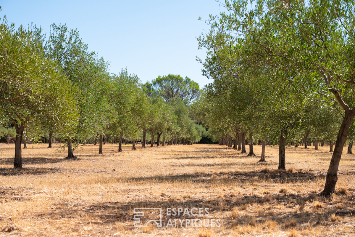 Maison de luxe à vendre à Puget-Ville, 2 100 000 €, Photo 3
