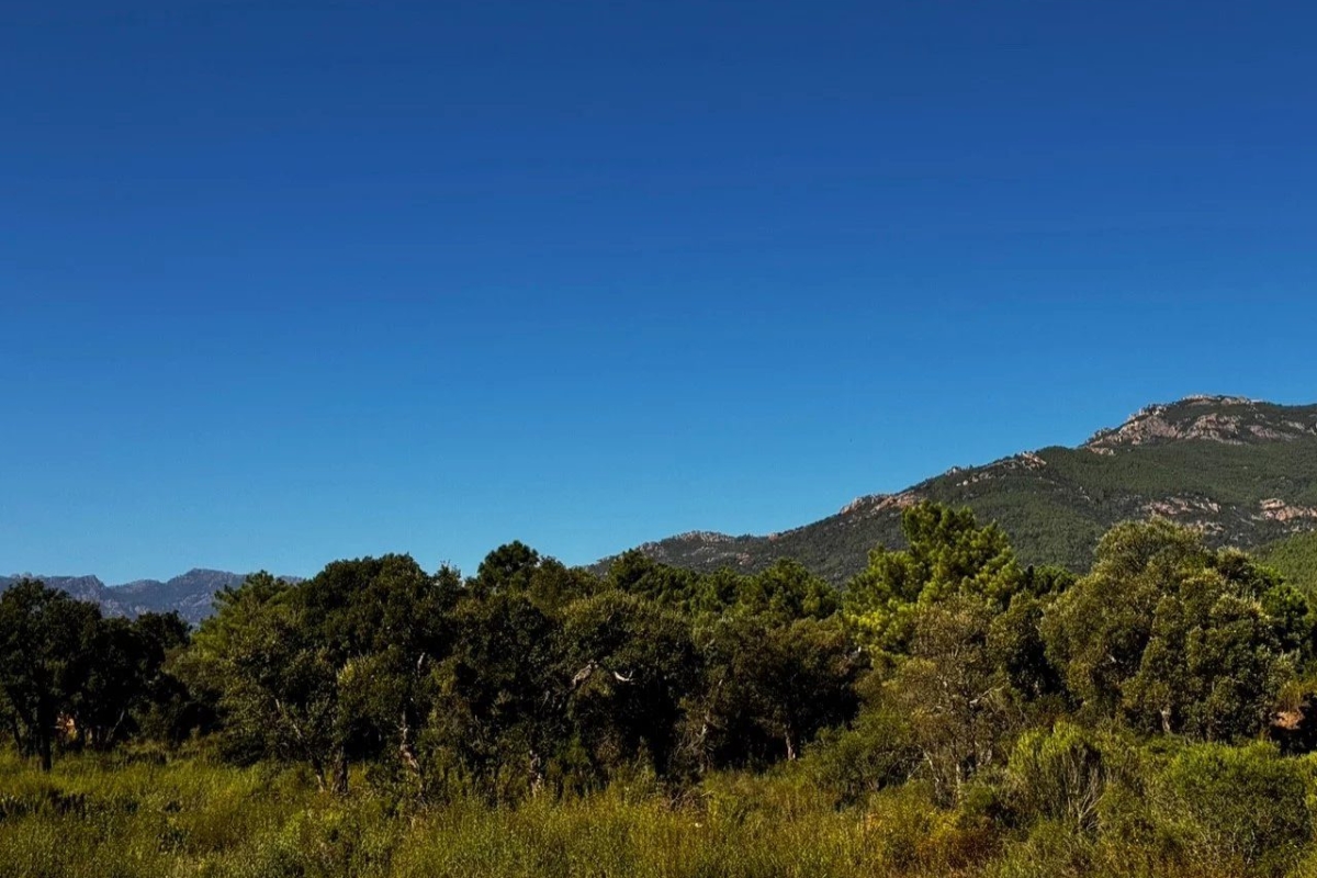 Maison de luxe à vendre à Porto-Vecchio, 685 000 €, Photo 1