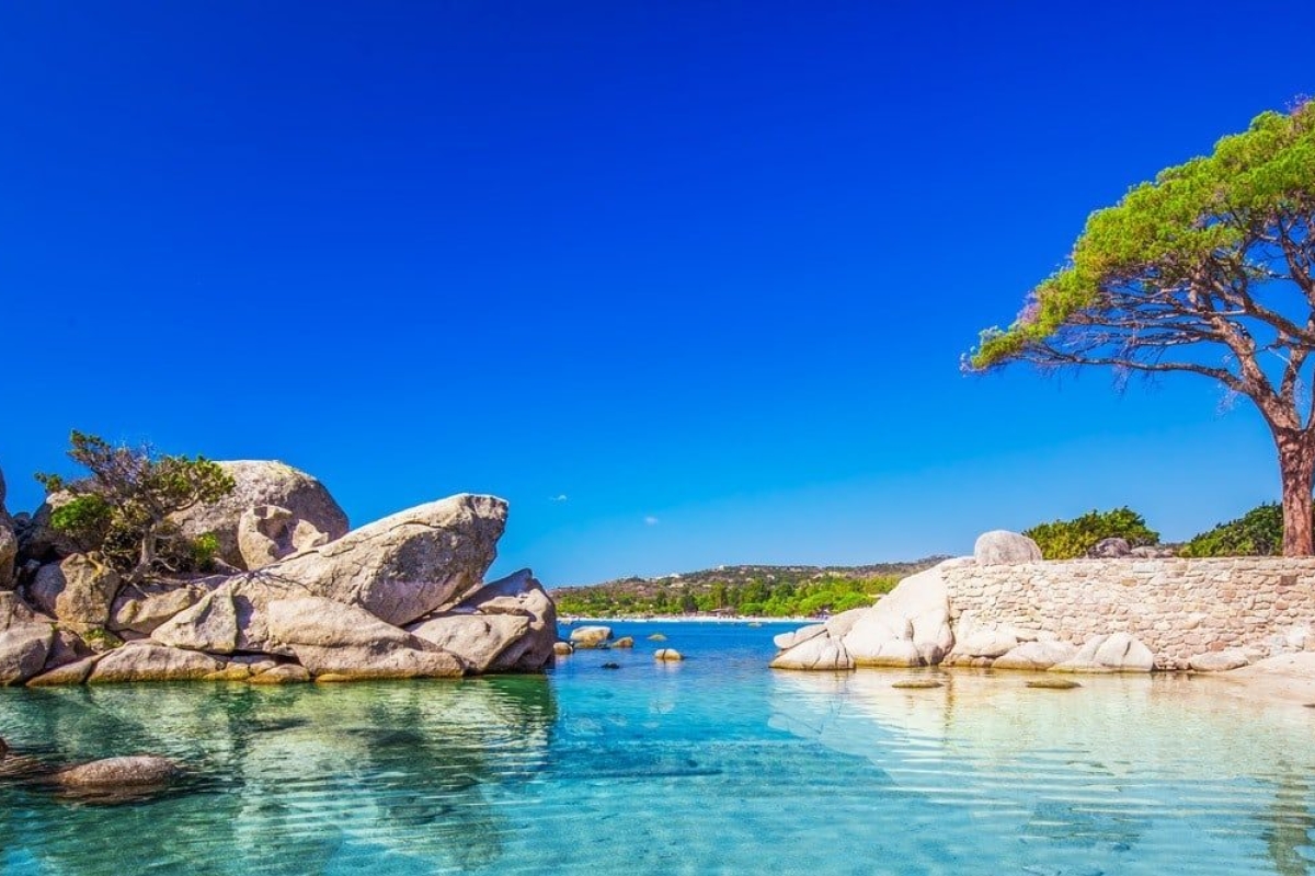 Appartement de luxe à vendre à Porto-Vecchio, 285 000 €, Photo 3