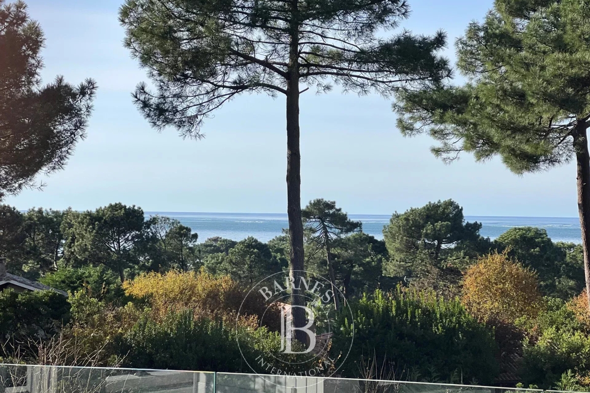 Maison de luxe à vendre à Pyla sur Mer, 4 250 000 €, Photo 1