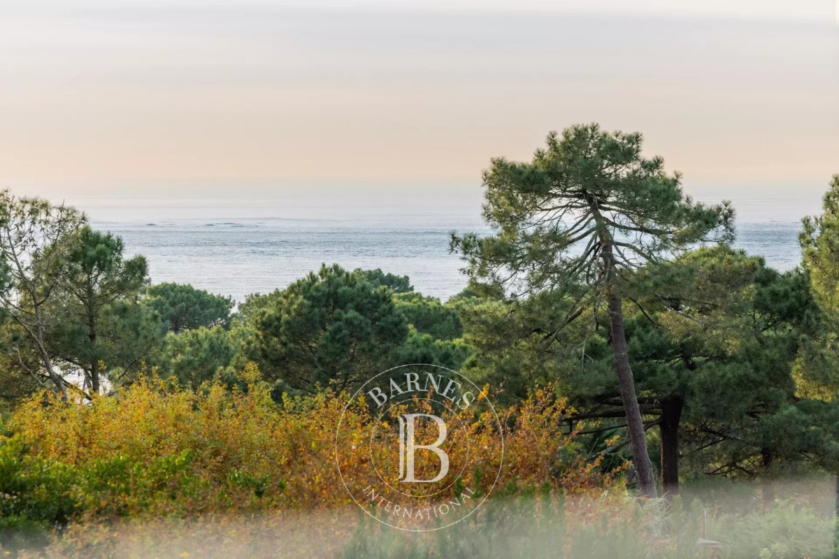 Maison de luxe à vendre à Pyla sur Mer, 3 900 000 €, Photo 4