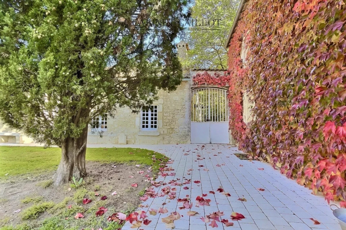 Maison de luxe à vendre à Saint-Savinien, 1 155 000 €, Photo 5