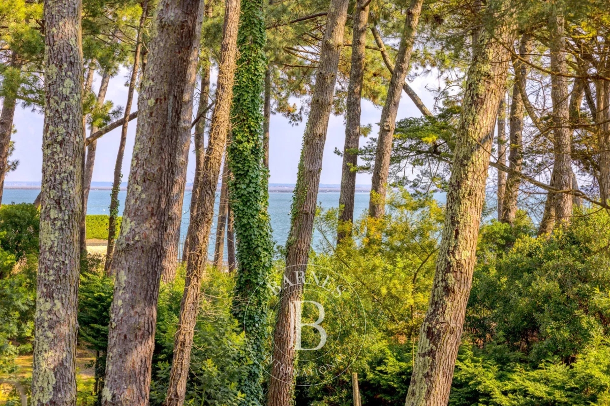 Maison de luxe à vendre à Cap Ferret, 5 995 000 €, Photo 5