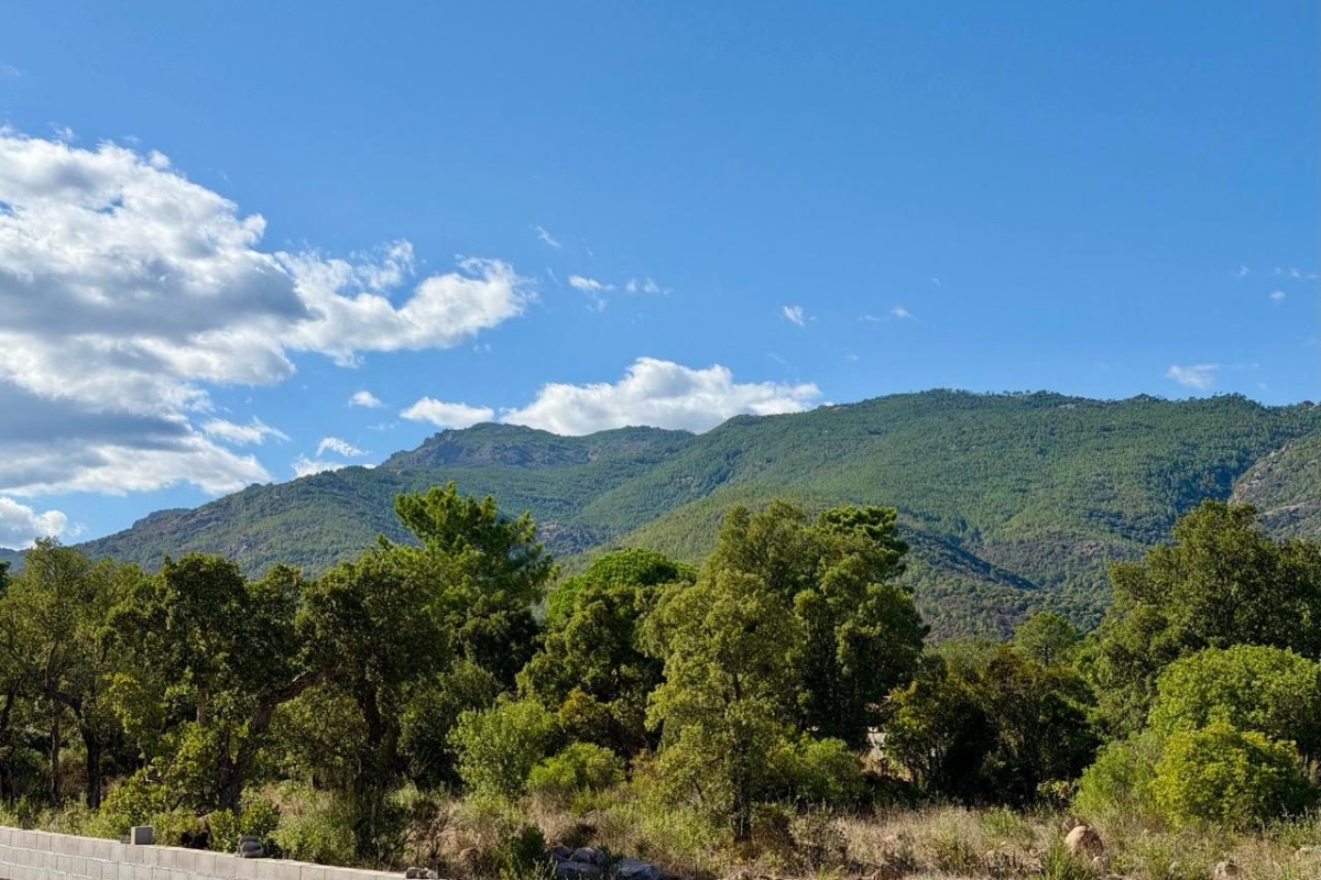 Maison de luxe à vendre à Porto-Vecchio, 990 000 €, Photo 4