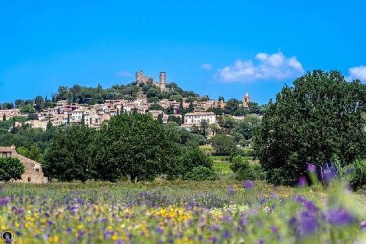 Maison de luxe à vendre à Grimaud, 5 200 000 €, Photo 4