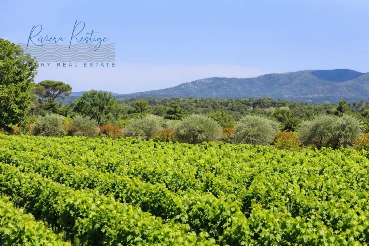 Maison de luxe à vendre à Le Cannet-des-Maures, 10 600 000 €, Photo 1