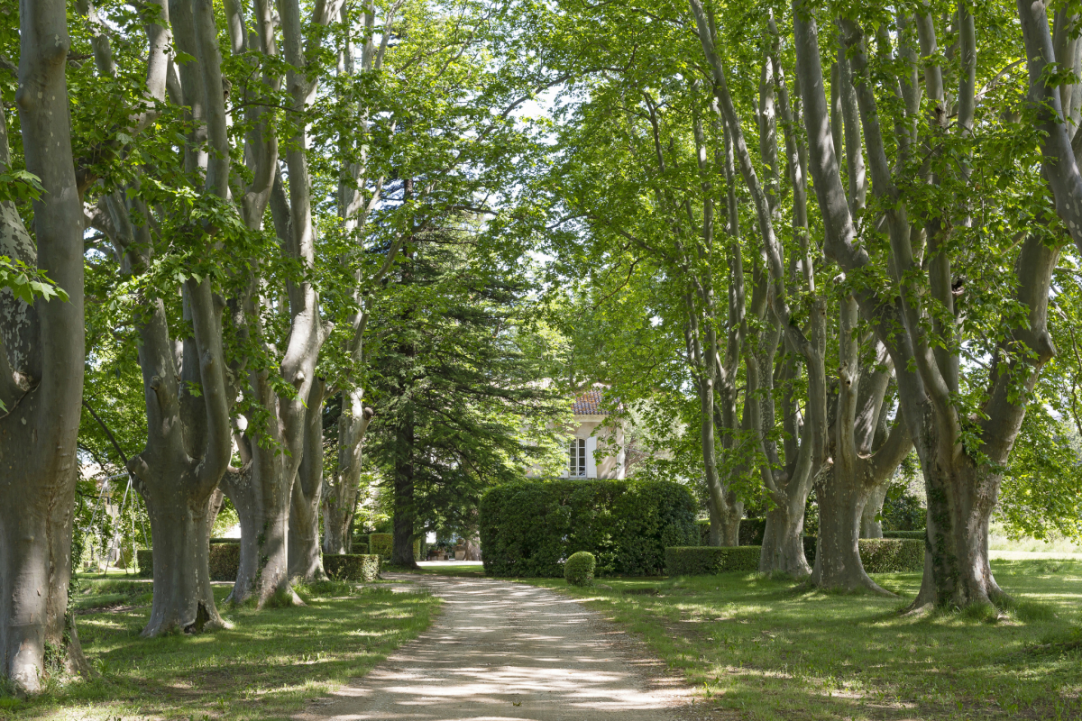 Maison de luxe à vendre à Beaumes-de-Venise, 1 855 000 €, Photo 6