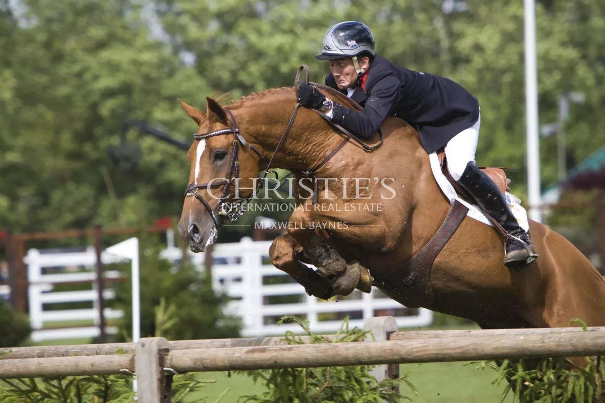Maison de luxe à vendre à Angoulême, 3 000 000 €, Photo 1